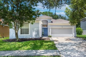19112 WOOD SAGE DRIVE, TAMPA, FL 33647 Sold 08/19/24