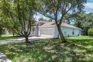 19112 WOOD SAGE DRIVE, TAMPA, FL 33647 Sold 08/19/24