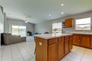 31309 BACLAN DRIVE, WESLEY CHAPEL, FL 33545 Sold 01/13/25