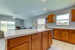 31309 BACLAN DRIVE, WESLEY CHAPEL, FL 33545 Sold 01/13/25