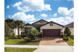 19163 COASTAL SHORE TERRACE, LAND O LAKES, FL 34638 Sold 12/13/24