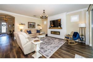 19163 COASTAL SHORE TERRACE, LAND O LAKES, FL 34638 Sold 12/13/24