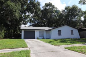 3432 Danny Bryan Blvd, TAMPA