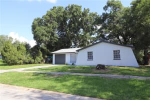 3432 DANNY BRYAN BOULEVARD, TAMPA, FL 33619 - MLS#MFRT3539895