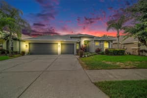 12914 CASTLEMAINE DRIVE, TAMPA, FL 33626 Sold 09/17/24