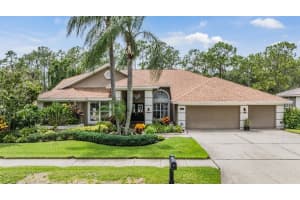 17314 HIALEAH DRIVE, ODESSA, FL 33556 Sold 11/22/24