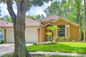 5650 PADDOCK TRAIL DRIVE, TAMPA, FL 33624 Sold 09/17/24