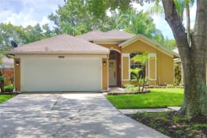 5650 PADDOCK TRAIL DRIVE, TAMPA, FL 33624 Sold 09/17/24