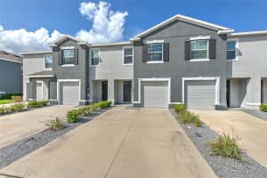 8621 FALLING BLUE PLACE, RIVERVIEW, FL 33578 Sold 10/18/24