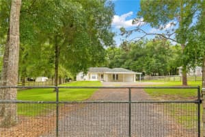 29330 WILPAYNE ROAD, BROOKSVILLE, FL 34602 Sold 01/17/25