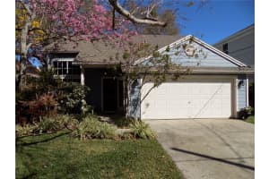 3707 LEONA STREET, TAMPA, FL 33629 Sold 09/12/24