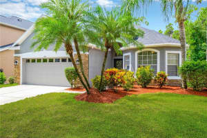 11613 GREENSLEEVE AVENUE, TAMPA, FL 33626 Sold 08/28/24