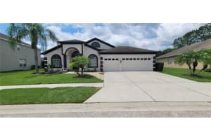 7738 CRESCENT PALM DRIVE, WESLEY CHAPEL, FL 33545 Sold 08/16/24