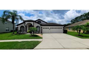 7738 CRESCENT PALM DRIVE, WESLEY CHAPEL, FL 33545 Sold 08/16/24