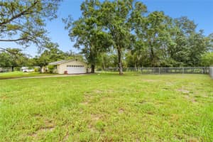 11507 BELMACK BOULEVARD, ODESSA, FL 33556 Sold 09/19/24