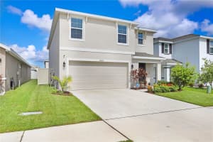 12125 WATER ASH PLACE, RIVERVIEW, FL 33569 Sold 12/23/24