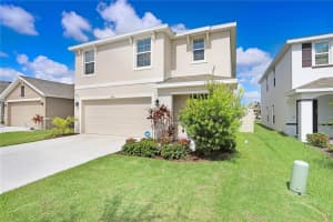 12125 WATER ASH PLACE, RIVERVIEW, FL 33569 Sold 12/23/24