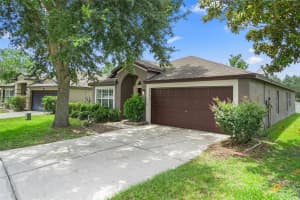 14987 RED BLOOM PLACE, BROOKSVILLE, FL 34604 Sold 08/08/24