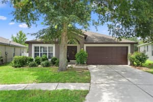 14987 RED BLOOM PLACE, BROOKSVILLE, FL 34604 Sold 08/08/24