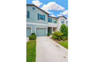 4546 GLOBE THISTLE DRIVE, TAMPA, FL 33619 Sold 12/19/24