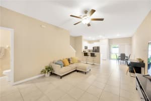 4546 GLOBE THISTLE DRIVE, TAMPA, FL 33619 Sold 12/19/24
