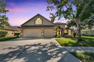 6509 CARRINGTON SKY DRIVE, APOLLO BEACH, FL 33572 Sold 11/22/24