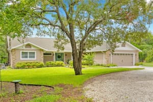 16830 DALBERG DRIVE, SPRING HILL, FL 34610 Sold 12/09/24