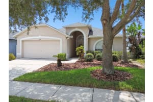 2739 BUTTERFLY LANDING DRIVE, LAND O LAKES, FL 34638 Sold 10/16/24