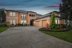 14814 NINEBARK COURT, LAND O LAKES, FL 34638 Sold 10/17/24