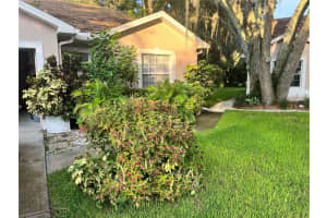 35226 Janine Dr, ZEPHYRHILLS
