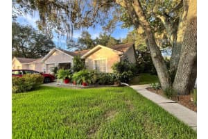 35226 JANINE DRIVE, ZEPHYRHILLS, FL 33541 - MLS#MFRT3540619