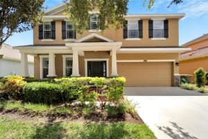11460 NEWGATE CREST DRIVE, RIVERVIEW, FL 33579 Sold 12/04/24