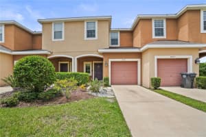 6631 HOLLY HEATH DRIVE, RIVERVIEW, FL 33578 Sold 11/27/24