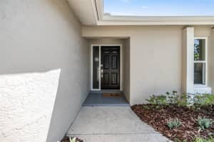3298 ORCHARD DRIVE, PALM HARBOR, FL 34684 Sold 09/19/24