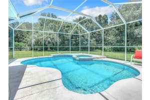 3447 CEDAR PLAINS COURT, LAND O LAKES, FL 34639 Sold 08/29/24