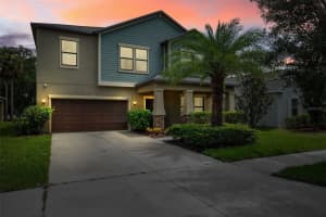 14273 BLUE DASHER DRIVE, RIVERVIEW, FL 33569 Sold 12/09/24