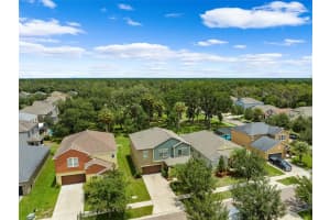 14273 BLUE DASHER DRIVE, RIVERVIEW, FL 33569 Sold 12/09/24