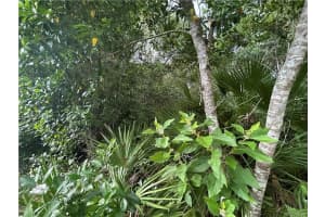 1251 GETTY LANE, HERNANDO, FL 34442 Sold 03/19/25