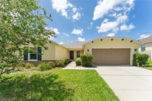 11123 HARTFORD FERN DRIVE, RIVERVIEW, FL 33569 Sold 10/17/24