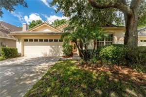 17710 NATHANS DRIVE, TAMPA, FL 33647 Sold 01/10/25