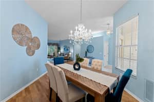 17710 NATHANS DRIVE, TAMPA, FL 33647 Sold 01/10/25