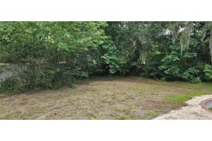 4375 LINDSEY LOOP, DOVER, FL 33527 - MLS#MFRT3541294
