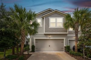 5817 GRAND SONATA AVENUE, LUTZ, FL 33558 Sold 11/21/24