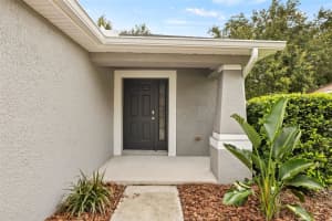 11555 HAMMOCKS GLADE DRIVE, RIVERVIEW, FL 33569 Sold 09/04/24