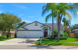 11326 BLOOMINGTON DRIVE, TAMPA, FL 33635 Sold 11/20/24