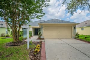 2732 BUCKHORN PRESERVE BOULEVARD, VALRICO, FL 33596 Sold 12/02/24