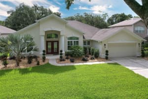 5204 TWIN CREEKS DRIVE, VALRICO, FL 33596 Sold 09/09/24