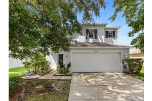 18933 Sunterra Dr, LAND O LAKES