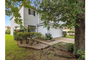 18933 SUNTERRA DRIVE, LAND O LAKES, FL 34638 - MLS#MFRT3541673
