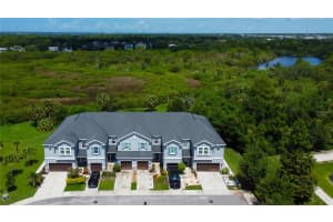 8210 MUDDY PINES PLACE, TAMPA, FL 33635 Sold 11/30/24